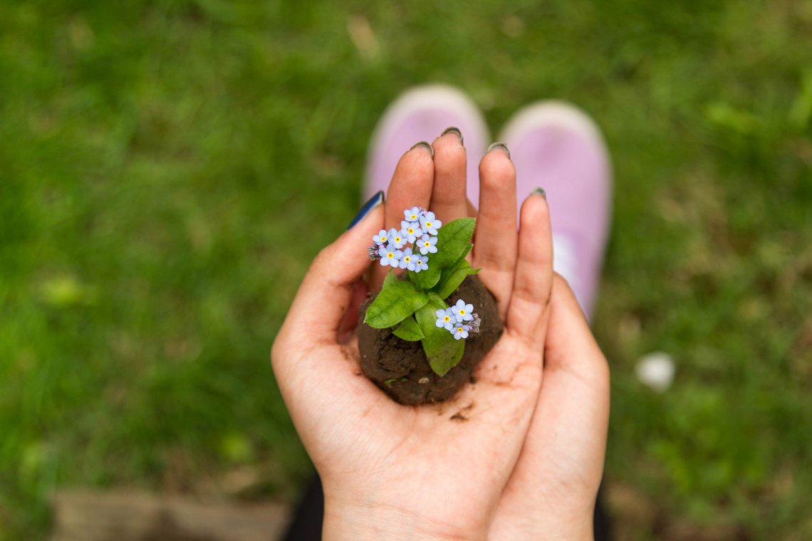 Grow your business Grow your business